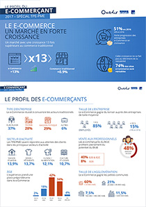 Infographie profil du ecommerant